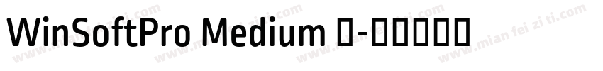 WinSoftPro Medium 中字体转换